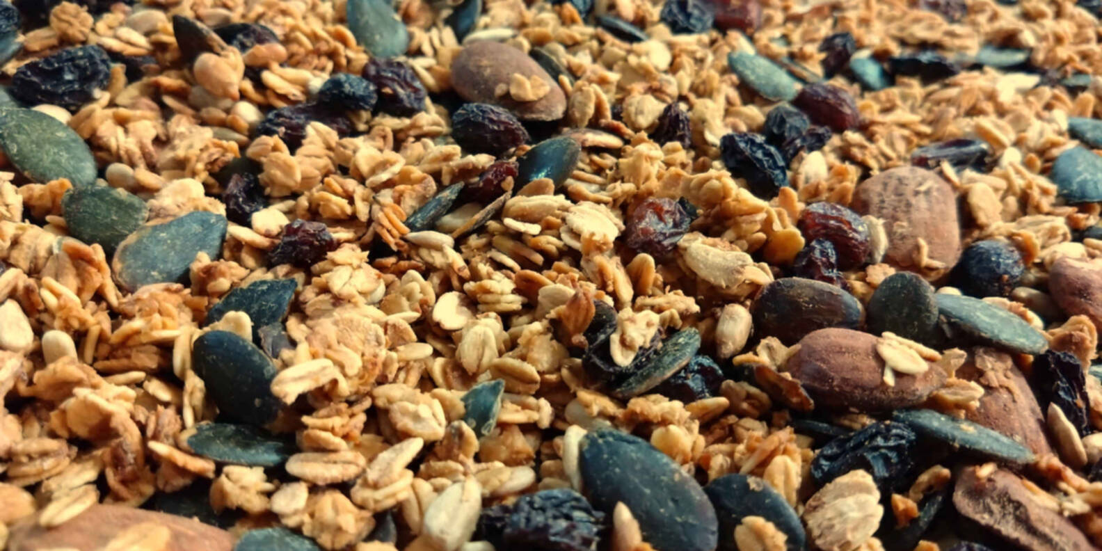 A close-up photo of some granola